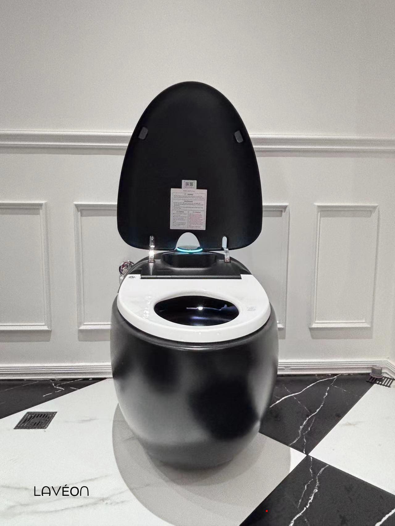 Luxury Smart Toilet Model #964