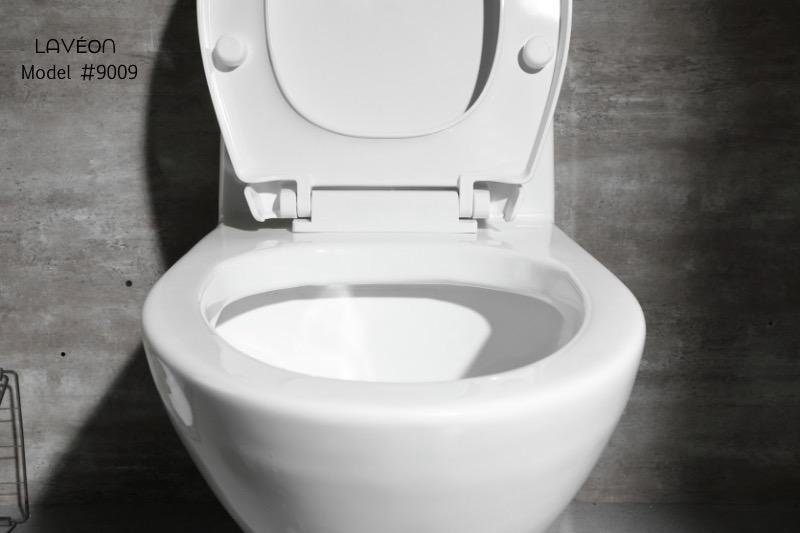 Modern One-Piece Toilet TM9009