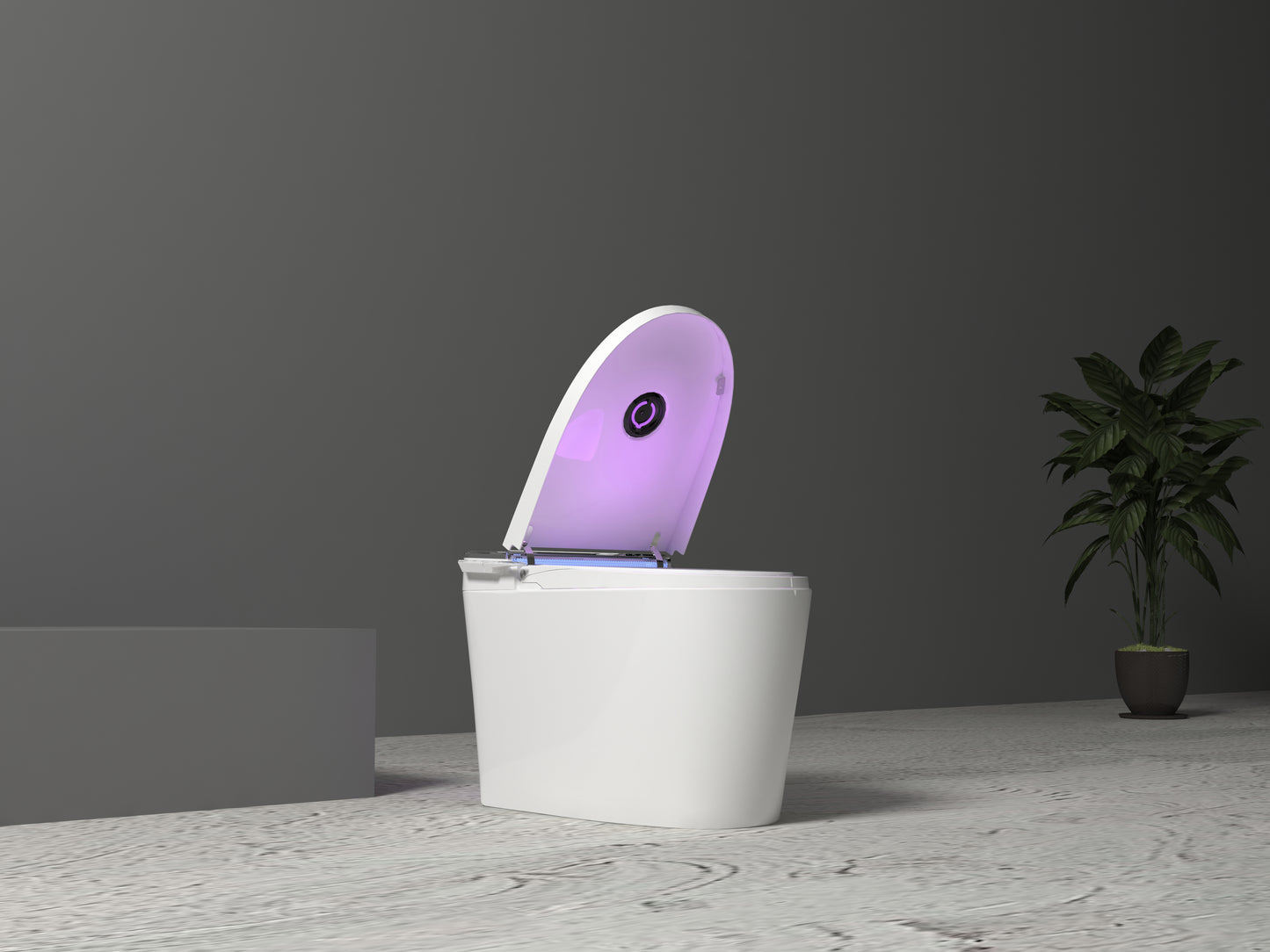 Elegant Smart Toilet Model #956