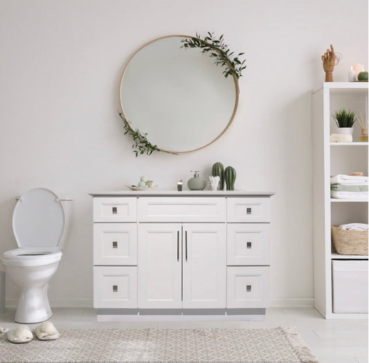 48'' 2 door 6 drawer vanity